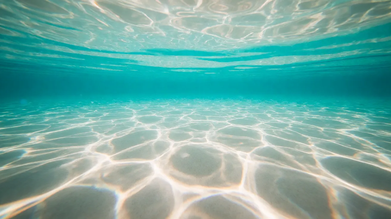 欧美热辣海滩比基尼:大场景写真图集导航